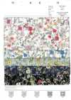 7027-815-1 CR Lawn Botanical Petites Fleurs