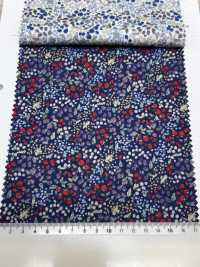 7027-618-1 60 Pelouse 9088 Motif Baies[Fabrication De Textile] HOKKOH Sous-photo