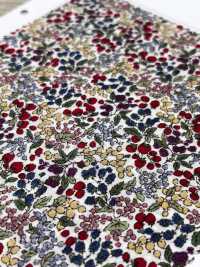 7027-618-1 60 Pelouse 9088 Motif Baies[Fabrication De Textile] HOKKOH Sous-photo