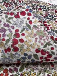 7027-618-1 60 Pelouse 9088 Motif Baies[Fabrication De Textile] HOKKOH Sous-photo