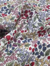 7027-618-1 60 Pelouse 9088 Motif Baies[Fabrication De Textile] HOKKOH Sous-photo