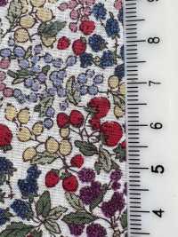7027-618-1 60 Pelouse 9088 Motif Baies[Fabrication De Textile] HOKKOH Sous-photo