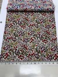 7027-618-1 60 Pelouse 9088 Motif Baies[Fabrication De Textile] HOKKOH Sous-photo