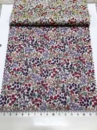 7027-618-1 60 Pelouse 9088 Motif Baies[Fabrication De Textile] HOKKOH Sous-photo