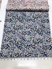 7027-618-1 60 Pelouse 9088 Motif Baies[Fabrication De Textile] HOKKOH Sous-photo