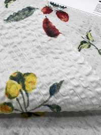 7027-630-5 80 Fruits De La Vague Miracle De Pelouse[Textile / Tissu] HOKKOH Images supplémentaires