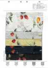 7027-630-5 80 Fruits De La Vague Miracle De Pelouse