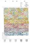 7027-640-1 80 Petits Motifs Floraux Pour Pelouse