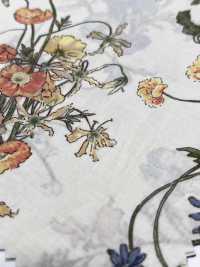 7027-640-5 80 Jardins Botaniques[Fabrication De Textile] HOKKOH Sous-photo