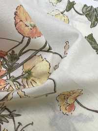7027-640-5 80 Jardins Botaniques[Fabrication De Textile] HOKKOH Sous-photo
