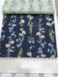 3027-650-1 60 Rayures Florales Sur Gazon[Fabrication De Textile] HOKKOH Sous-photo
