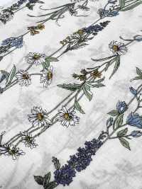 3027-650-1 60 Rayures Florales Sur Gazon[Fabrication De Textile] HOKKOH Sous-photo