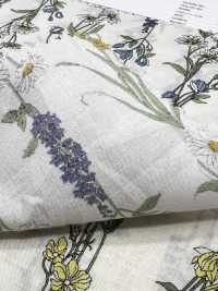 3027-650-1 60 Rayures Florales Sur Gazon[Fabrication De Textile] HOKKOH Sous-photo