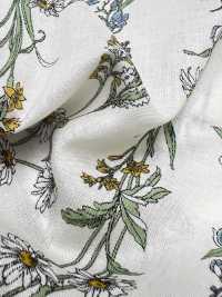3027-650-1 60 Rayures Florales Sur Gazon[Fabrication De Textile] HOKKOH Sous-photo