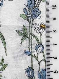 3027-650-1 60 Rayures Florales Sur Gazon[Fabrication De Textile] HOKKOH Sous-photo
