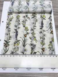 3027-650-1 60 Rayures Florales Sur Gazon[Fabrication De Textile] HOKKOH Sous-photo