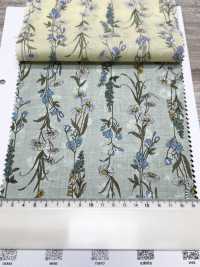 3027-650-1 60 Rayures Florales Sur Gazon[Fabrication De Textile] HOKKOH Sous-photo