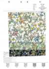 3027-650-4 60 Fleurs De Pelouse Pop