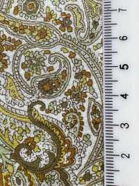 3027-650-13 60 Lawn Paisley[Fabrication De Textile] HOKKOH Sous-photo