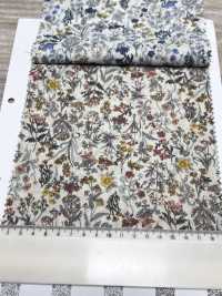 4027-670-1 Lacronne, Petites Fleurs Filiformes[Fabrication De Textile] HOKKOH Sous-photo