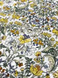 4027-670-3 Motif Botanique Laclaw[Fabrication De Textile] HOKKOH Sous-photo