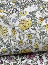 4027-670-3 Motif Botanique Laclaw[Fabrication De Textile] HOKKOH Sous-photo