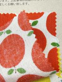 850612 Pelouse De Coton Non Blanchi, Petite Poche « Rindo »[Fabrication De Textile] VANCET Sous-photo