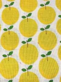 850612 Pelouse De Coton Non Blanchi, Petite Poche « Rindo »[Fabrication De Textile] VANCET Sous-photo