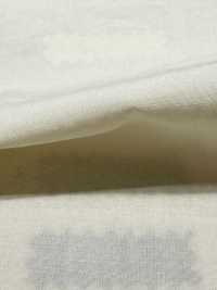 DWFM-DCGAEH0038W Pelouse De Coton Tencel™[Fabrication De Textile] Sous-photo