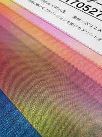 170527 Mon dégradé[Textile / Tissu] Coral Images supplémentaires