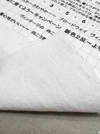 KINANADAKI-11 KINANADAKI 11 Adorable Komi-chan Kinaga Ni Ikou Finition[Fabrication De Textile] Komatsuwa Textile Images supplémentaires