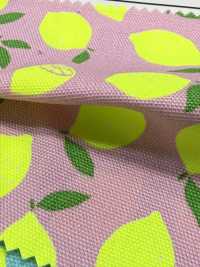 AP65103 Oxford à Impression Fluorescente (Rouleau)[Textile / Tissu] COSMO TEXTILE Images supplémentaires