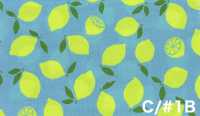AP65103 Oxford à Impression Fluorescente (Rouleau)[Textile / Tissu] COSMO TEXTILE Images supplémentaires