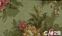 AP65902 Imprimé Botanique C/L Tissus De Toile (Rouleau)[Textile / Tissu] COSMO TEXTILE Images supplémentaires