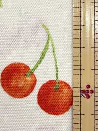 SP2650 Fruits Garden Oxford (rouleau)[Textiles / Tissus] COSMO TEXTILE Images supplémentaires