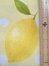SP2650 Fruits Garden Oxford (rouleau)[Textiles / Tissus] COSMO TEXTILE Images supplémentaires