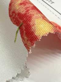 SP2650 Fruits Garden Oxford (rouleau)[Textiles / Tissus] COSMO TEXTILE Images supplémentaires
