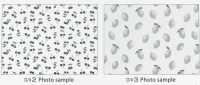SP2650 Fruits Garden Oxford (rouleau)[Textiles / Tissus] COSMO TEXTILE Images supplémentaires