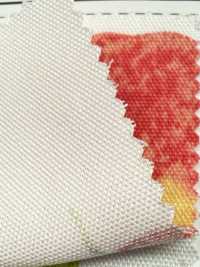 SP2650 Fruits Garden Oxford (rouleau)[Textiles / Tissus] COSMO TEXTILE Images supplémentaires