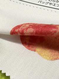 SP2650 Fruits Garden Oxford (rouleau)[Textiles / Tissus] COSMO TEXTILE Images supplémentaires