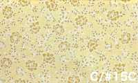 RU2530 RURU BOUQUET Imprimé couronne de roses tissus de toile (rouleau)[Textiles / Tissus] COSMO TEXTILE Images supplémentaires