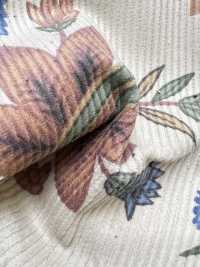 5024-1380-1 Velours côtelé 8W grande largeur botanique[Textile / Tissu] HOKKOH Images supplémentaires