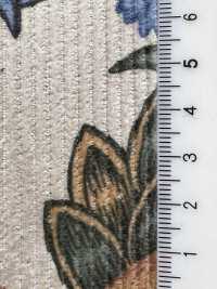 5024-1380-1 Velours côtelé 8W grande largeur botanique[Textile / Tissu] HOKKOH Images supplémentaires