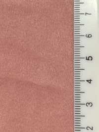 T43558 Daim polyester < TORAY Tetoron (finition polyuréthane)>[Textile / Tissu] Kumoi Beauty Images supplémentaires
