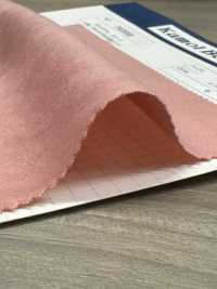 T43558 Daim polyester < TORAY Tetoron (finition polyuréthane)>[Textile / Tissu] Kumoi Beauty Images supplémentaires