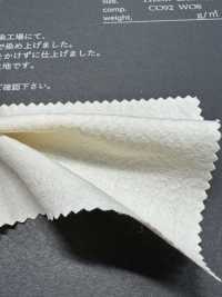 FJ3031 Popeline coton-laine HIYORI[Textiles / Tissus] Fujisaki Textile Images supplémentaires
