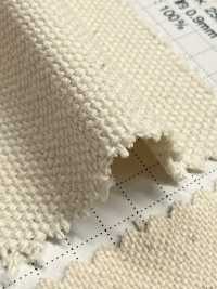 FKB08 Fujikinbai Toile de coton n° 8, grège[Textiles / Tissus] Fujikinbai Images supplémentaires