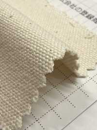 FKB10 Fujikinbai Toile de coton n° 10 grège[Textiles / Tissus] Fujikinbai Images supplémentaires
