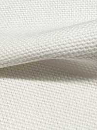 P1311 Fujikinbai Coton n° 8 PFD pour impression[Textiles / Tissus] Fujikinbai Images supplémentaires