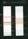 P1311 Fujikinbai Coton n° 8 PFD pour impression
